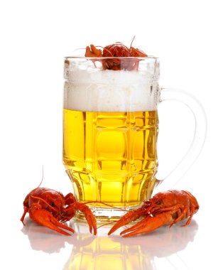 lezzetli haşlanmış crayfishes ve üzerinde beyaz izole bira