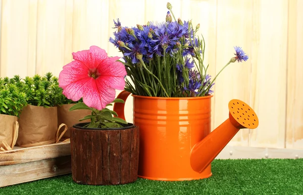 Watering can and plants in flowerpots on grass on wooden background — Stock Photo, Image