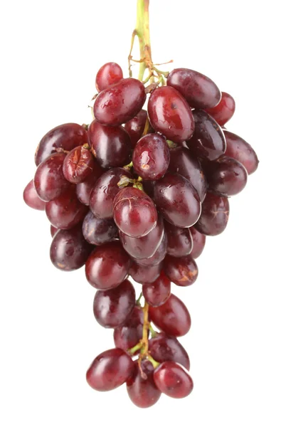 Delicious ripe bunch of grapes isolated on white — Stock Photo, Image