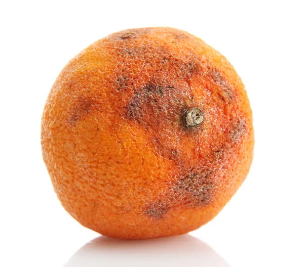白で隔離される腐ったオレンジ — ストック写真