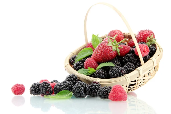 Красиві ягоди з листям в кошику ізольовані на білому — стокове фото