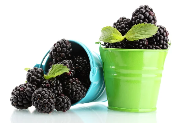 Beautiful blackberries with leaves in buckets isolated on white — Stock Photo, Image