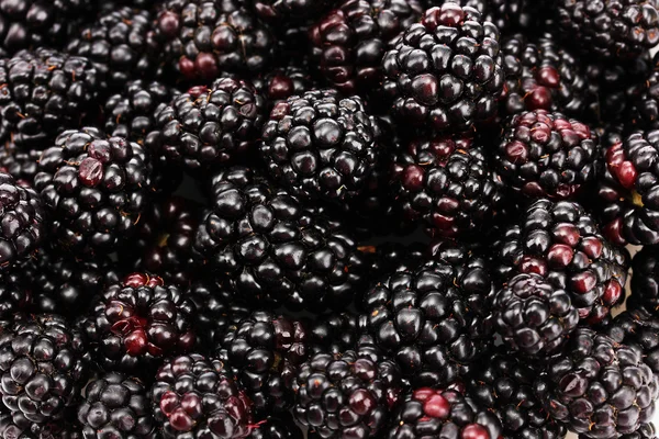 美丽的黑莓的背景 — 图库照片