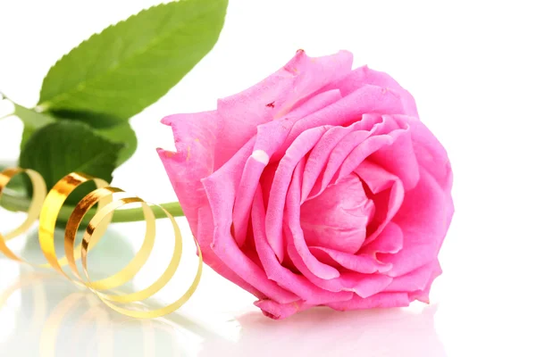 Розовая роза на белом — стоковое фото