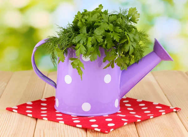 Colorful watering can with parsley and dill on wooden table on natural back — Stock Photo, Image