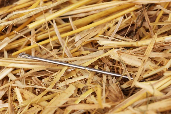 Needle in a haystack close-up — Stock Photo, Image