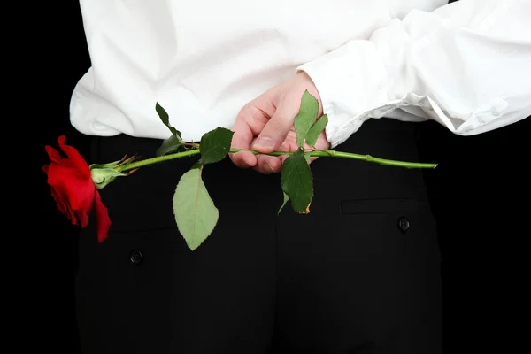 Homem segurando rosa close-up — Fotografia de Stock