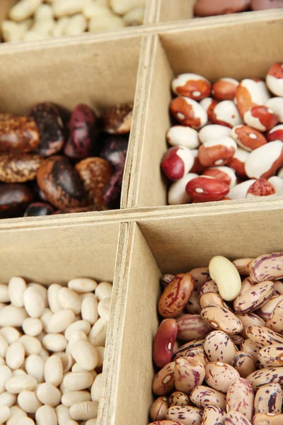 Diversos frijoles en secciones de caja de madera de cerca — Foto de Stock