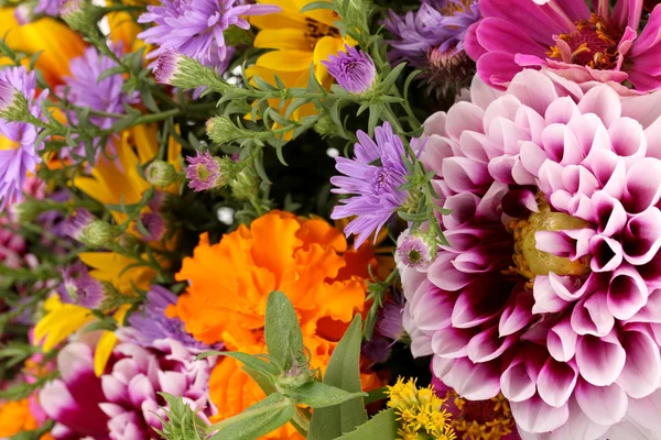 Mooi boeket van heldere bloemen close-up — Stockfoto