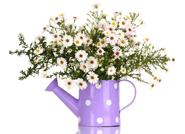 Beautiful bouquet of white flowers in watering can isolated on white — Stock Photo, Image