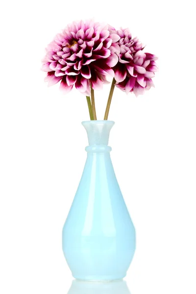 Beautiful purple flowers in vase isolated on white — Stock Photo, Image