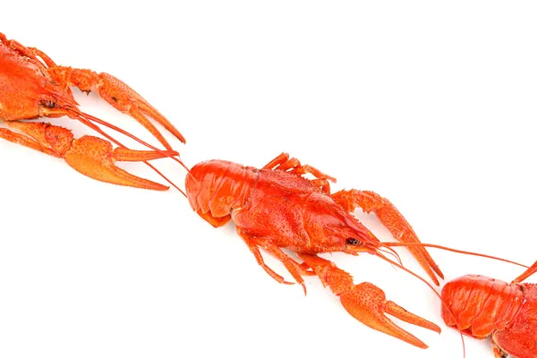 Beyaz izole lezzetli haşlanmış crayfishes — Stok fotoğraf
