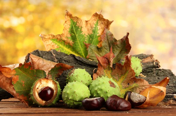 Castanhas com folhas secas de outono e casca — Fotografia de Stock