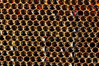 gele mooie honingraat met honing, achtergrond