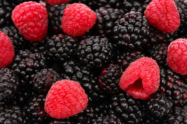 Background of beautiful berries — Stock Photo, Image