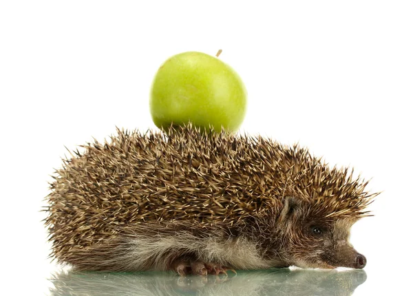 Hedgehog with apple, isolated on white — Stock Photo, Image