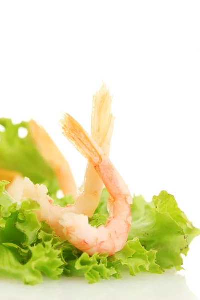 Boiled shrimps and lettuce leaf, isolated on white — Stock Photo, Image