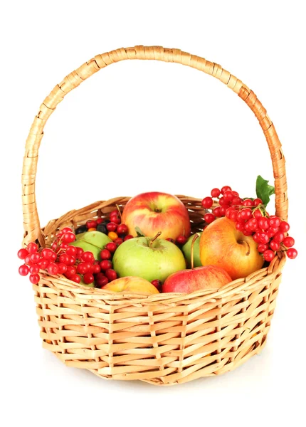 Colheita de bagas e frutos em uma cesta isolada em branco — Fotografia de Stock