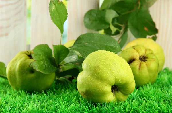 Sweet quinces with leaves, on grass — Stock Photo, Image