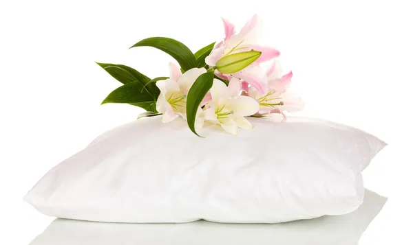 Beautiful lily on pillow isolated on white — Stock Photo, Image