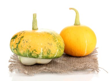 iki balkabağı beyaz izole Sim Tarih