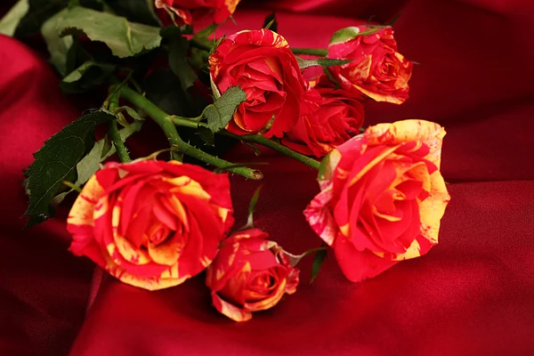 Belas rosas vermelho-amarelas em cetim vermelho close-up — Fotografia de Stock