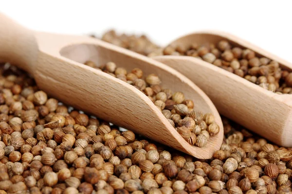 tahta kaşık beyaz arka plan yakın tarih içinde yığın kişniş