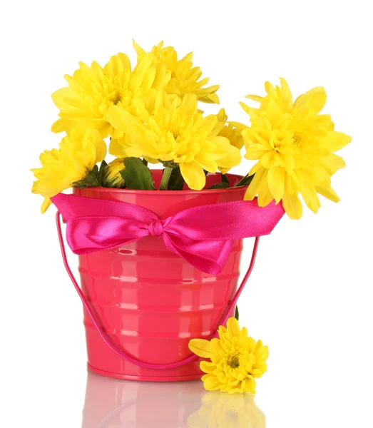 Beautiful bouquet of chrysanthemums in a bright colorful bucket isolated on — Stock Photo, Image