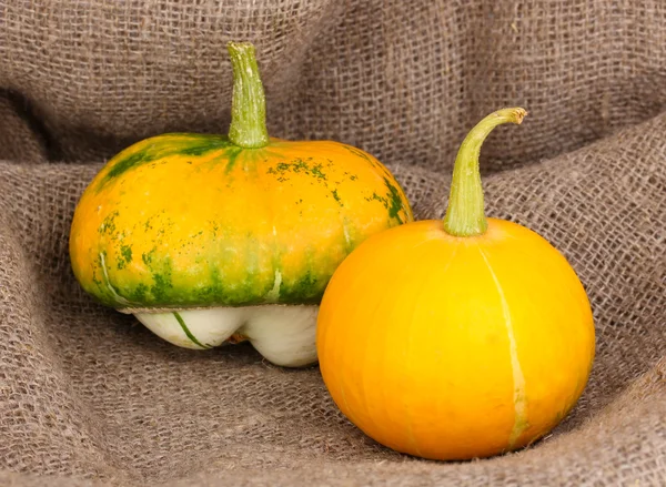 Two pumpkins on sackcloth close-up — Stock Photo, Image