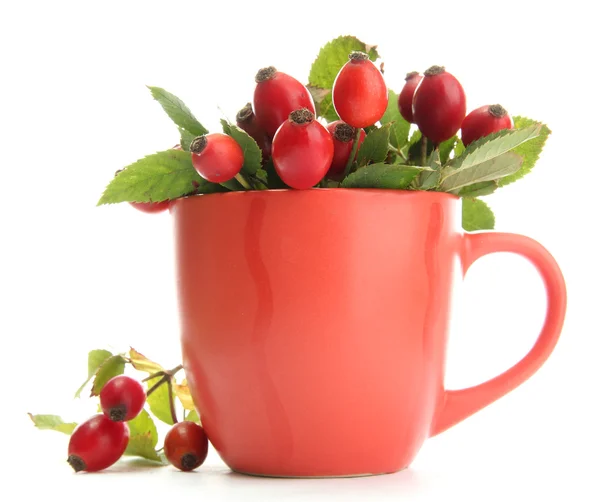 Mogen hip rosor med blad i cupen, isolerad på vit — Stockfoto