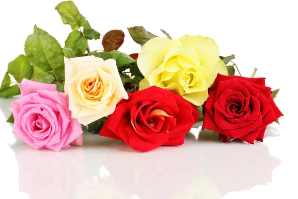 Schöne bunte Rosen isoliert auf weiß — Stockfoto