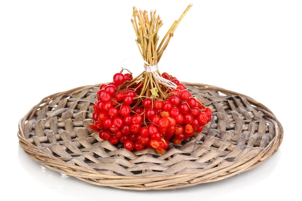 琼花柳条垫隔离白底上的红色浆果 — 图库照片