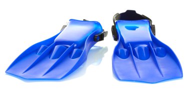 Mavi palet üzerinde beyaz izole