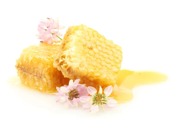 Golden honeycombs with honey and wildflowers isolated on white — Stock Photo, Image