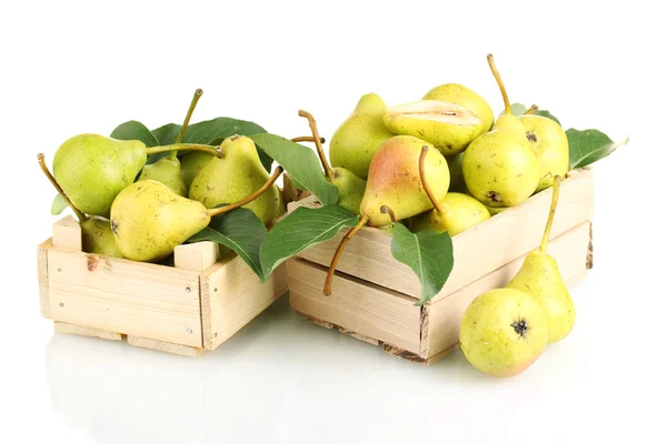 Sappige smaakvolle peren in vakken geïsoleerd op wit — Stockfoto