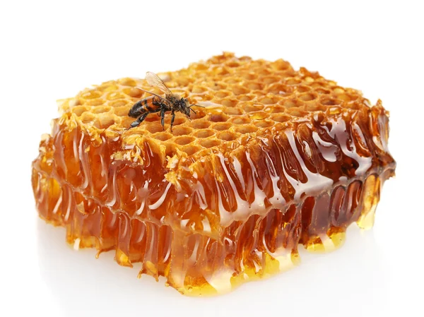 Söt honeycomb med honung och bi, isolerad på vit — Stockfoto