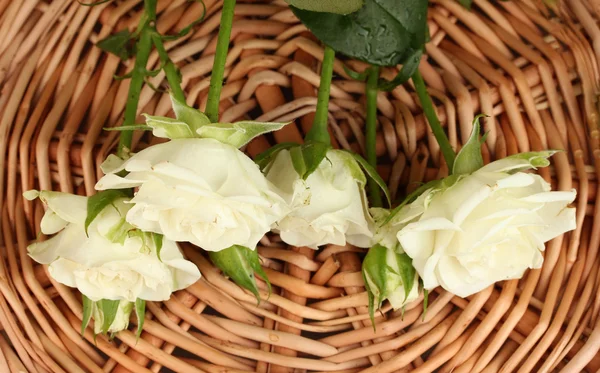 Vackra vita rosor på wicker matta närbild — Stockfoto
