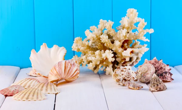 Decor of seashells on wooden table on blue wooden background — Stock Photo, Image