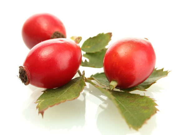 ripe hip roses on green leaves, isolated on white