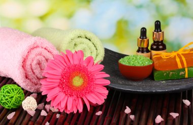 yeşil zemin üzerine Spa ayarı