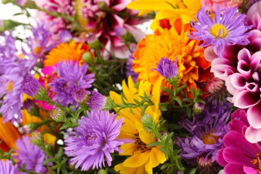 güzel parlak çiçek yakın çekim buket