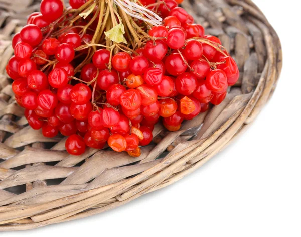 Red berries of viburnum on wicker mat close-up — Stock Photo, Image