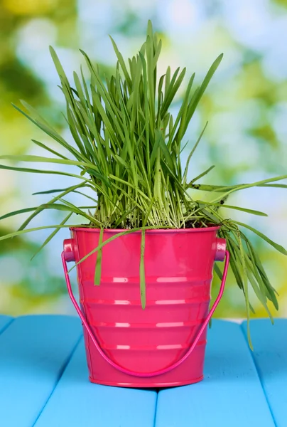 Herbe verte dans un seau sur une table en bois sur fond lumineux — Photo