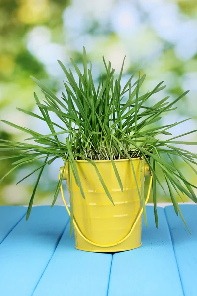 Groen gras in emmer op houten tafel op lichte achtergrond — Stockfoto