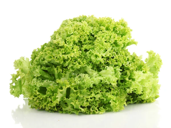 Beyaz üzerinde taze marul.