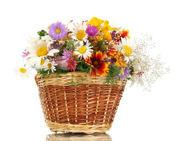 güzel beyaz izole parlak kır çiçekleri sepeti, buket