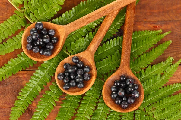 Tasty blueberries in wooden spoons on wooden background close-up — Stock Photo, Image