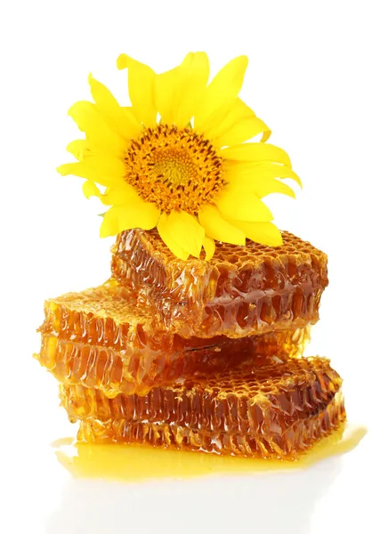 Favi dolci con miele e girasole, isolati su bianco — Foto Stock