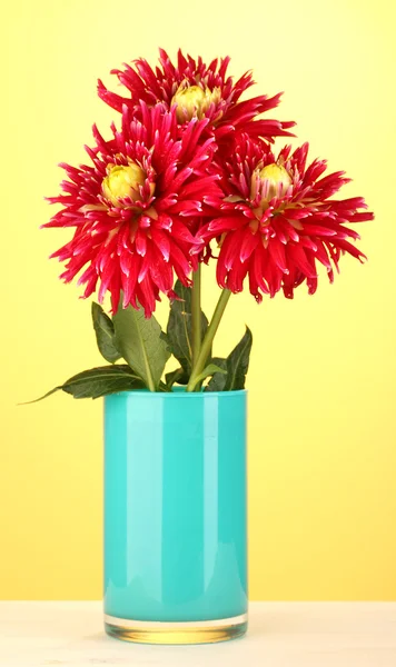 Schöne rote Dahlien in der Vase auf gelbem Hintergrund Nahaufnahme — Stockfoto