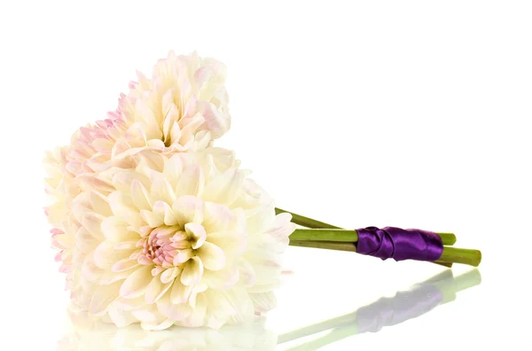 Bouquet of beautiful white dahlias tied with ribbon isolated on white — Stock Photo, Image
